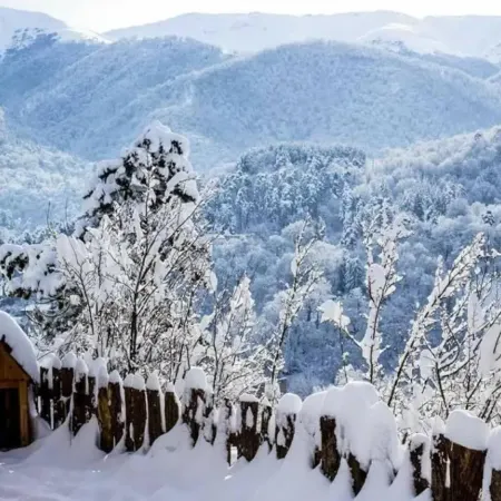 Popock Dilijan 1
