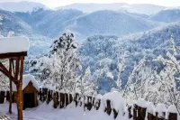 Popock Dilijan 1 - Homestays