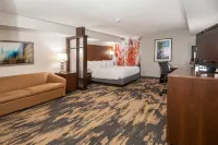 Fairfield Inn & Suites Dallas DFW Airport South/Irving
