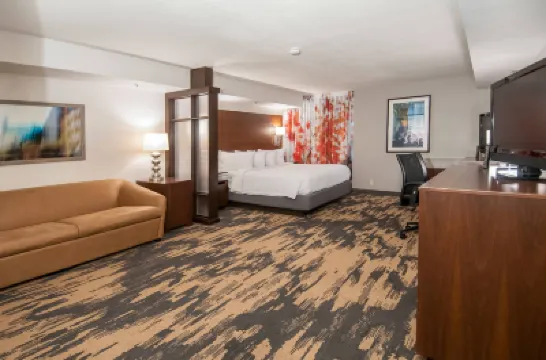 Fairfield Inn & Suites Dallas DFW Airport South/Irving Hotels in Irving