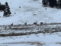 Cozy retreat located in the perfect location for views of the mountains and lake Hotels in Eagle Nest