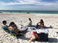 Spacious Luxurious 6Br Villa 3 King Master Br 1 Queen Br, 3BT Pet-Friendly Hotels in Apollo Beach