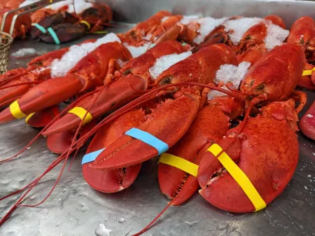 The Nest at Pigeon Cove: Modern farmhouse with all the comforts of home! Отели рядом с достопримечательностью «Motif #1»