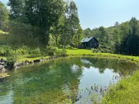 Rural Vermont with internet and Smart TV, cell phone works,  Dogs welcome.