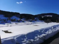 Cozy holiday apartment in Vorderfirmiansreut, Mitterdorf ski area Hotels in Landkreis Freyung-Grafenau