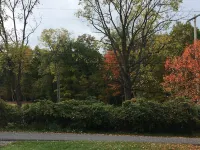 Cozy home in peaceful Boalsburg - Minutes from Beaver Stadium!