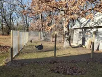 Sanctuary Woodland Guest House, located next to the conservation area!
