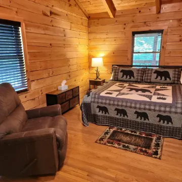 Black Bear Cabin, private and secluded!
