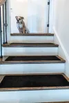 Luxe Haus of Love—Renovated 1938 Cape Cod —Heated FLRS