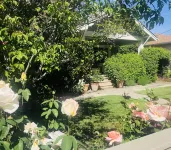 Downtown St. Helena retreat with pool, bocce ball and privacy. Permit #PL23-019