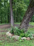 Relax in the Ozark Woods at a Quiet Nature Retreat with a Private Walking Trail.