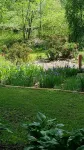 Sweet Suite 3 Minutes to  Dupont State Forest!  Take a Hike or Bring Your Bike!