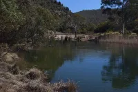 Bush Grove on the snowy river