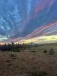 Highlands House - 5 acres with Mt. Hood Views. Dog Friendly!