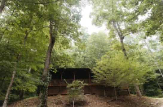 "Alpine Hills" Cozy Hideaway RRG Cabin w/ Hot Tub