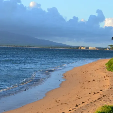 Maui Sunset B201: Beautiful 2 Bedroom, 2 Bath, Kihei Condo. Sleeps up to Six