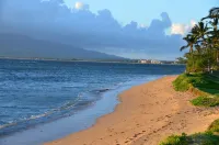Maui Sunset B201: Beautiful 2 Bedroom, 2 Bath, Kihei Condo. Sleeps up to Six