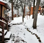 Cozy 2-bedroom Ruidoso Retreat