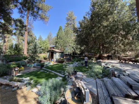 Wrightwood Cozy Cabin near Mt. High 鄰近Wrightwood Public Library的酒店