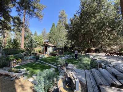 Wrightwood Cozy Cabin near Mt. High
