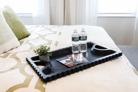 The Downtown Bee: Cozy & charming escape steps from Main Street Bethlehem!