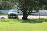 River Views and Relaxation!Newly remodeled & ready for your familyPet friendly