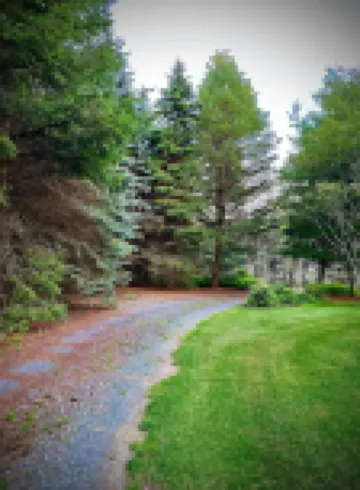 Hummingbird Hideaway