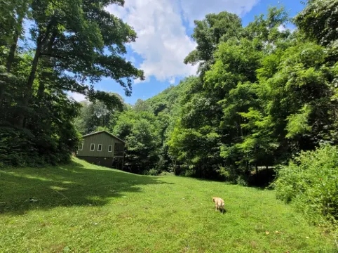 Elysium Falls deep in the Laurels