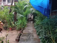 Costatina - Agonda Beach Hotels in Agonda