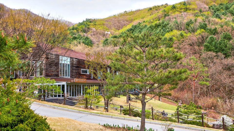 Healience Seonmaeul