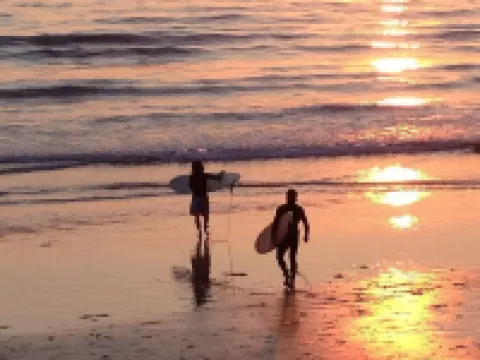 Hidden Garden Sanctuary Estate ll Mountain Views & Serenity フォールブルックのホテル