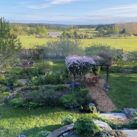 Bright art-filled home, fruit trees, valley view