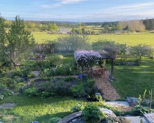 Bright art-filled home, fruit trees, valley view Hotels in Lopez