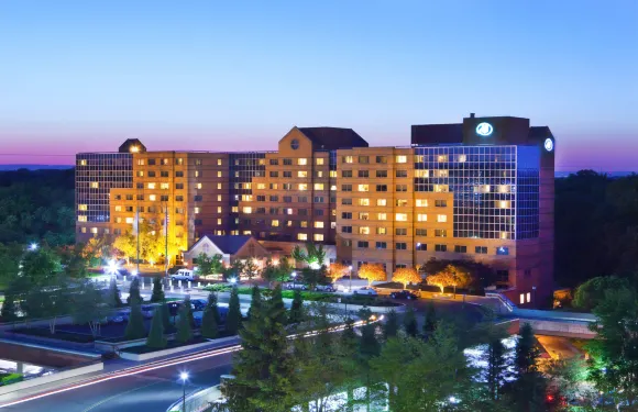 肖特希爾斯希爾頓酒店