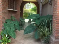 Hostal la Encantada โรงแรมใกล้พลาซ่า การิบัลดี