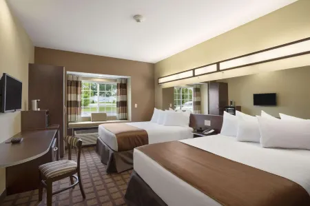 Microtel Inn & Suites by Wyndham Carrollton Отели в г. Роуз Тауншип