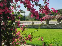 Hotel Ermioni Hotels in Toroni
