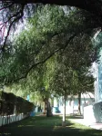 Del Mar Hotel & Spa Hotels near Parque Metropolitano Marisma de los Torunos and Pinar of the Algaida