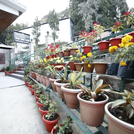 Sikkim Tourist Centre