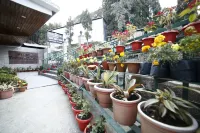 Sikkim Tourist Centre Hotels in 