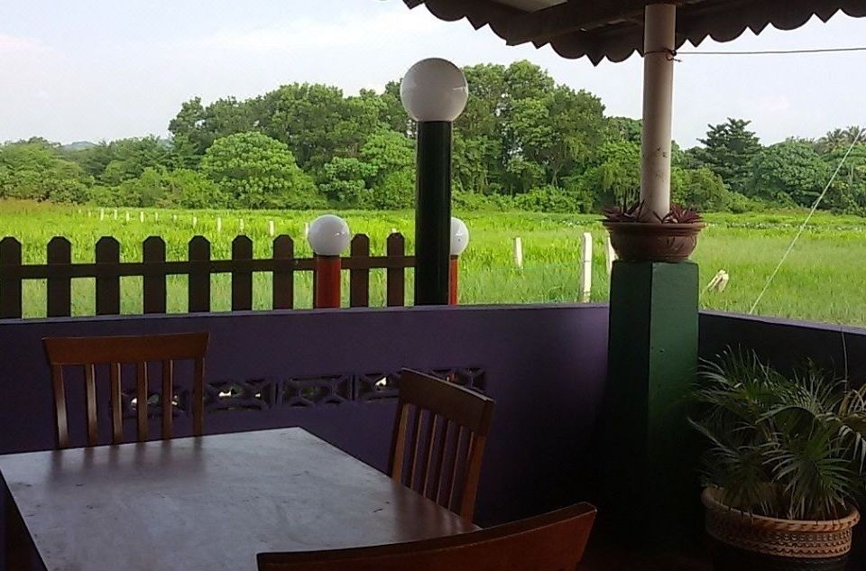 2. 레인보우 로지 ..