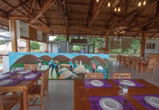 디 아카시아 글램핑 파크