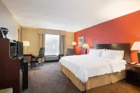Holiday Inn 挪利其 - 露台