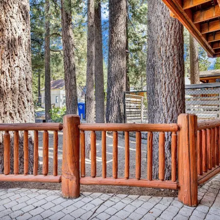OUR Cabin IN THE Woods #2476
