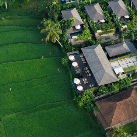 Kappa Senses Ubud