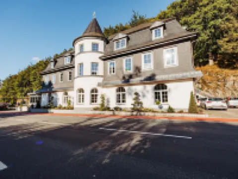 Schlosshotel Brilon-Wald - Hostel Hotels in Brilon