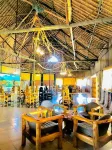Explore Mara Camp Hotels in Сиана
