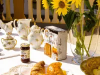 Villa Antiche Mura Hotels in Empoli