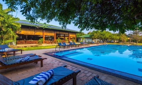 Camellia Resort and Spa