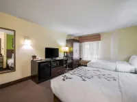 Sleep Inn Statesville I-40 Hotels in Statesville